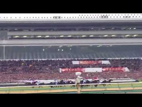 2014 有馬記念 直線の攻防(2014 Arima Kinen)