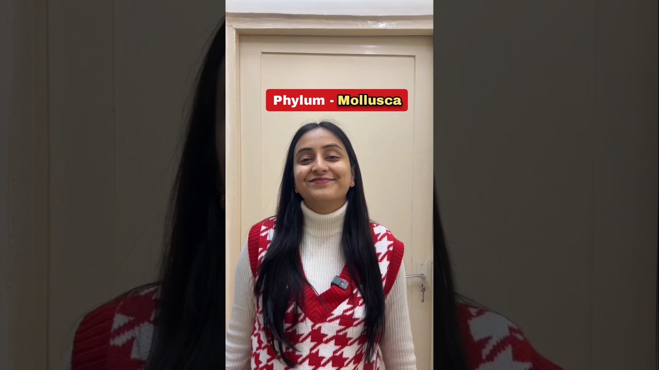 Phylum Mollusca | Animal Kingdom #shorts #neet #class11 #biology #study #ytshorts