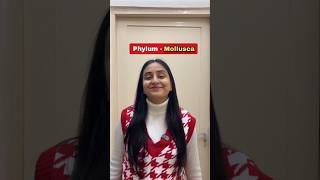 Phylum Mollusca | Animal Kingdom #shorts #neet #class11 #biology #study #ytshorts