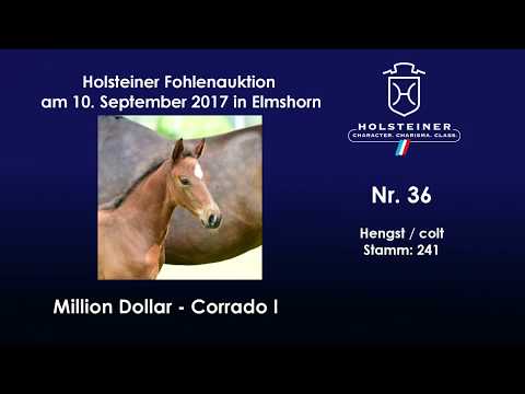 Nr. 36 v. Million Dollar - Corrado I