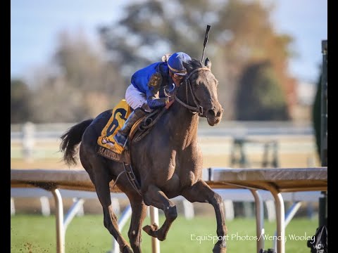 Road to Derby 146: CLAIBORNE BREEDERS FUTURITY
