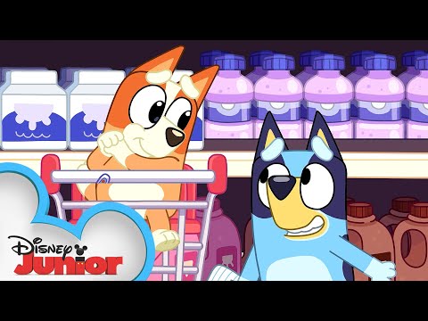 Bluey and Bingo Go Grocery Shopping ???? | Bluey | Disney Junior