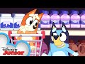 Bluey And Bingo Go Grocery Shopping Bluey Disney Junior