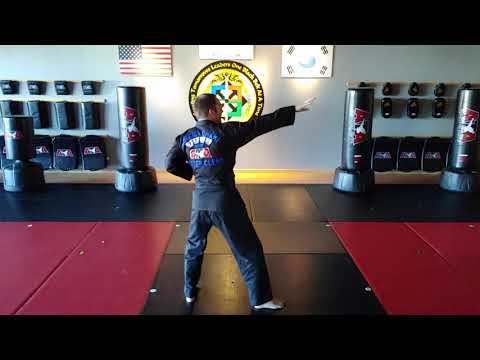 Form Talkthrough - Red Belt 2nd half