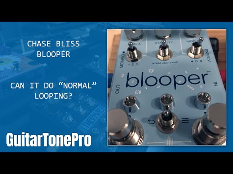 Blooper - Can it do "normal" looping?