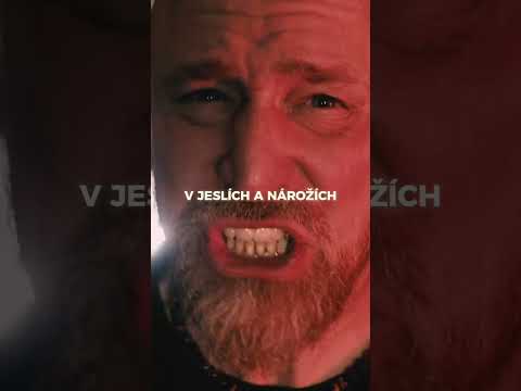 Karel Kryl - Ukolébavka rock verze od FORREST JUMP #karelkryl #rock #ukolebavka #forrestjump