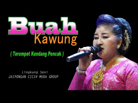 JAIPONGAN BUAH KAWUNG - KENDANG PENCAK