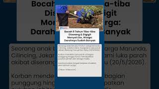 Serangan Monyet Liar Bikin Panik Warga, Bocah 9 Tahun Dilarikan ke Rumah Sakit akibat Luka Gigitan