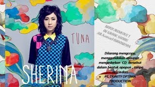 Demi Kamu dan Aku Music Video