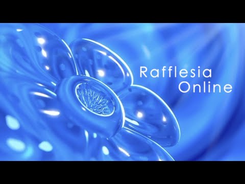 Video thumbnail for Customize