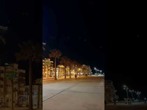 #reels #اكسبلور #تصويري #explore #nature #subscribe #sunset #تيك_توك #flowers