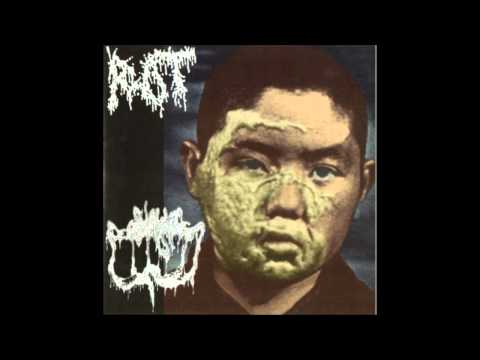 rot . sublime cadaveric decomposition - split