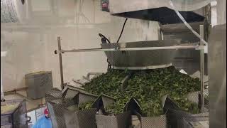 Plan IT Packaging Systems Neptune Duplex Premade Pouch Machine for Kale Chips