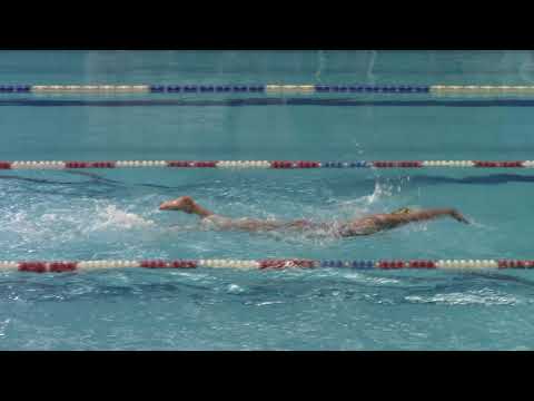 Cerratelli Vanessa (4) 200SL - Lucca 15.06.19