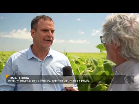 Tomas Lorda, gerente general de la fábrica aceitera Gente de La Pampa