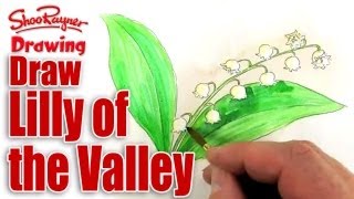 How to draw and paint Lily of the Valley - Spoken Tutorial