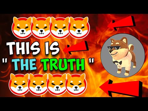 SHYTOSHI, THE CEO OF SHIBA INU JUST DROPPED A MASSIVE BOMBSHELL!! - EXPLAINED