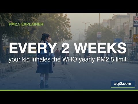 PM2.5 in Delhi NCR — your child inhales 18 times the WHO limit
