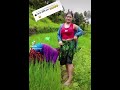 Nepali Short Funny TikTok Video ️ Halka Ramailo Nepal