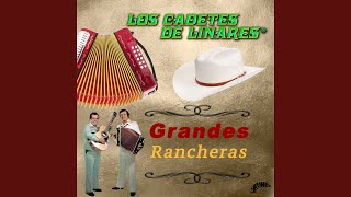 Flor De Mis Primeros Años