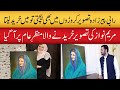 Maryam Nawaz Famous Painting Done By Rabi Pirzada Khokhar Palace Daily Point
