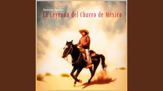 Prisionero De Tus Brazos