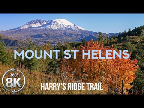 Harry's Ridge Trail in 360˚ VR - Virtual Hike in Mount St Helens - 8K Scenery of the Erupted Volcano