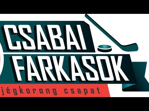 Csabai Farkasok-Kárpáti Farkasok Érd U12 2023.12.03 1.félidő