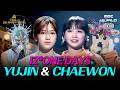[K-POP] IVE Yujin & LE SSERAFIM Chaewon’s Masked Singer Vocals🎤#Lesserafim #IVE