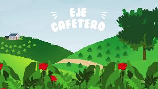 TacuaraClub - Animación Eje Cafetero