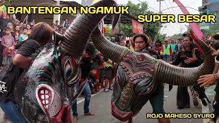 Download lagu Bantengan Brutal ngamuk Rojo Maheso Syuro terbaru... mp3