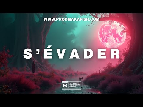 [FREE] PNL x DTF Type Beat "S'évader" - Instru Rap Cloud Planant By Makafish