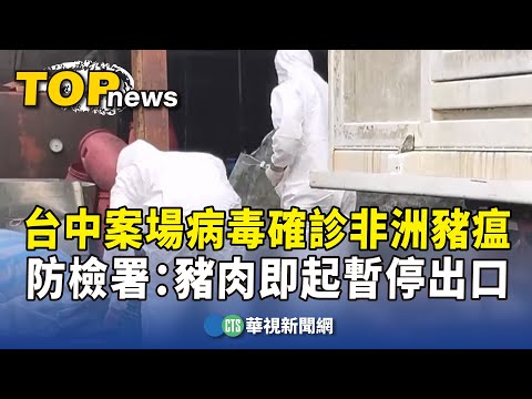 台中案場病毒確診非洲豬瘟　防檢署：豬肉即起暫停出口