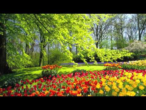 Crepa feat. 'O Nà - belvedere