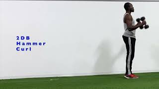 2DB Hammer Curl
