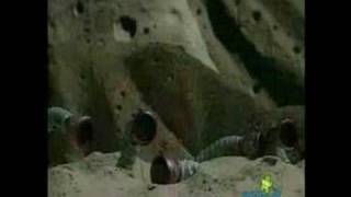 Sesame Street - Slimey to the moon (Tony Bennett)