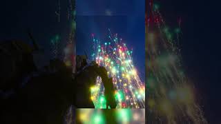 I Launched Every Firework at Once!