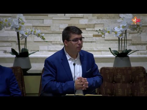 Daniel Bîrsan - Potolirea furtunii