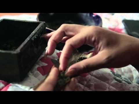 Young Nino Stackz- Rihanna & Marijuana (Move Money Ent)