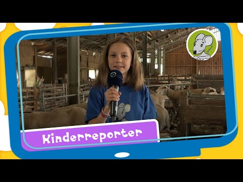Hallo Benjamin! Kinderreporter unterwegs - Madita zu Besuch beim Schäfer