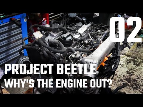 Project Beetle #2 - Why are we taking the engine out? - Boostmania International