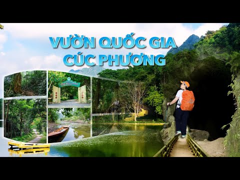 Slide Vườn Quốc Gia Cúc Phương - Khu Rừng Nhiệt Đới Cổ Xưa Nhất Việt Nam thumbnail