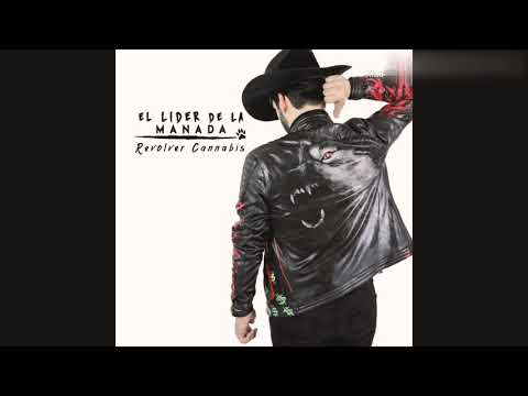 Revolver Cannabis - Los Duendes (Feat. Enigma Norteño)