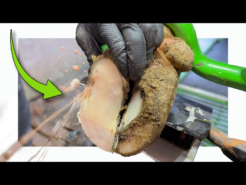 There’s a LOT of it!!!!