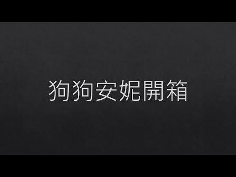 狗狗安妮開箱