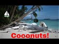 How to Open A Coconut: How to Survive on a Deserted Island in Chagos - Patrick Childress Sailing #17 How to Open A Coconut: How to Survive on a Deserted Island in Chagos - Patrick Childress Sailing #17
