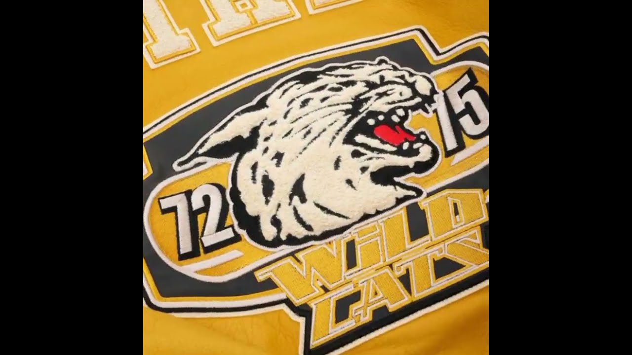 Avirex Leather Jacket | Wildcat Varsity Jacket | Avirex USA | Vintage Jacket | Leather Jacket Gear