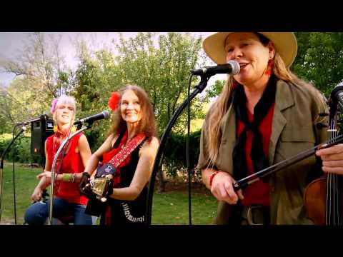 My Dog Loves Your Dog