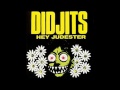 Didjits-Hey Judester- FULL VINYL