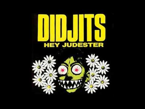 Didjits-Hey Judester- FULL VINYL